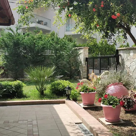 Purple_rose_apartment